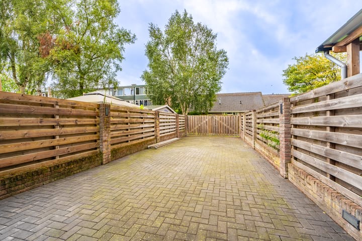 Foto 4 van Delf 44