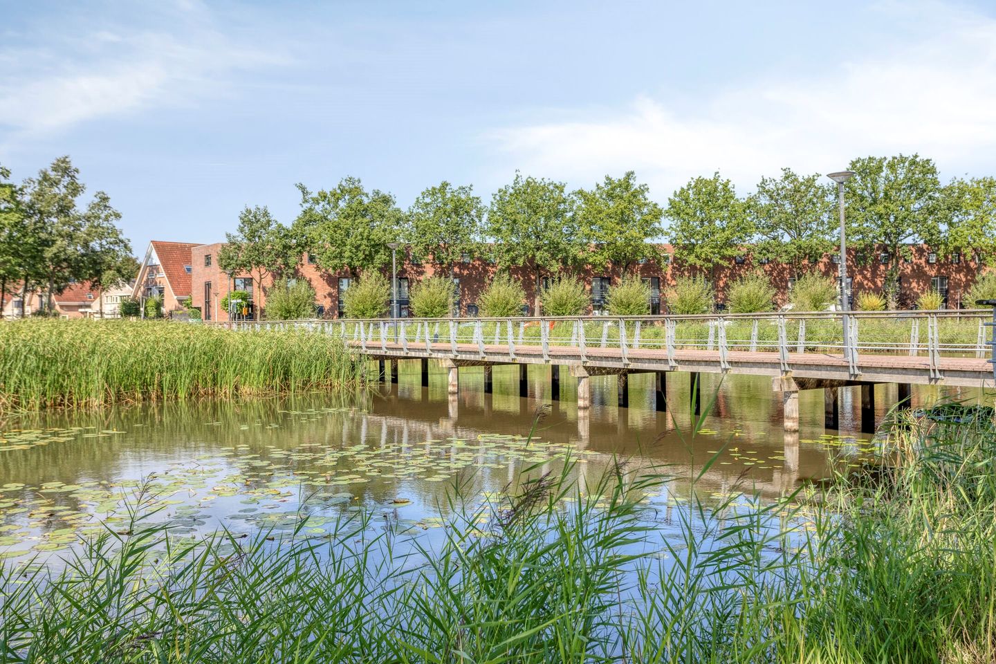 Photo 35 of Penningkruidlaan 7