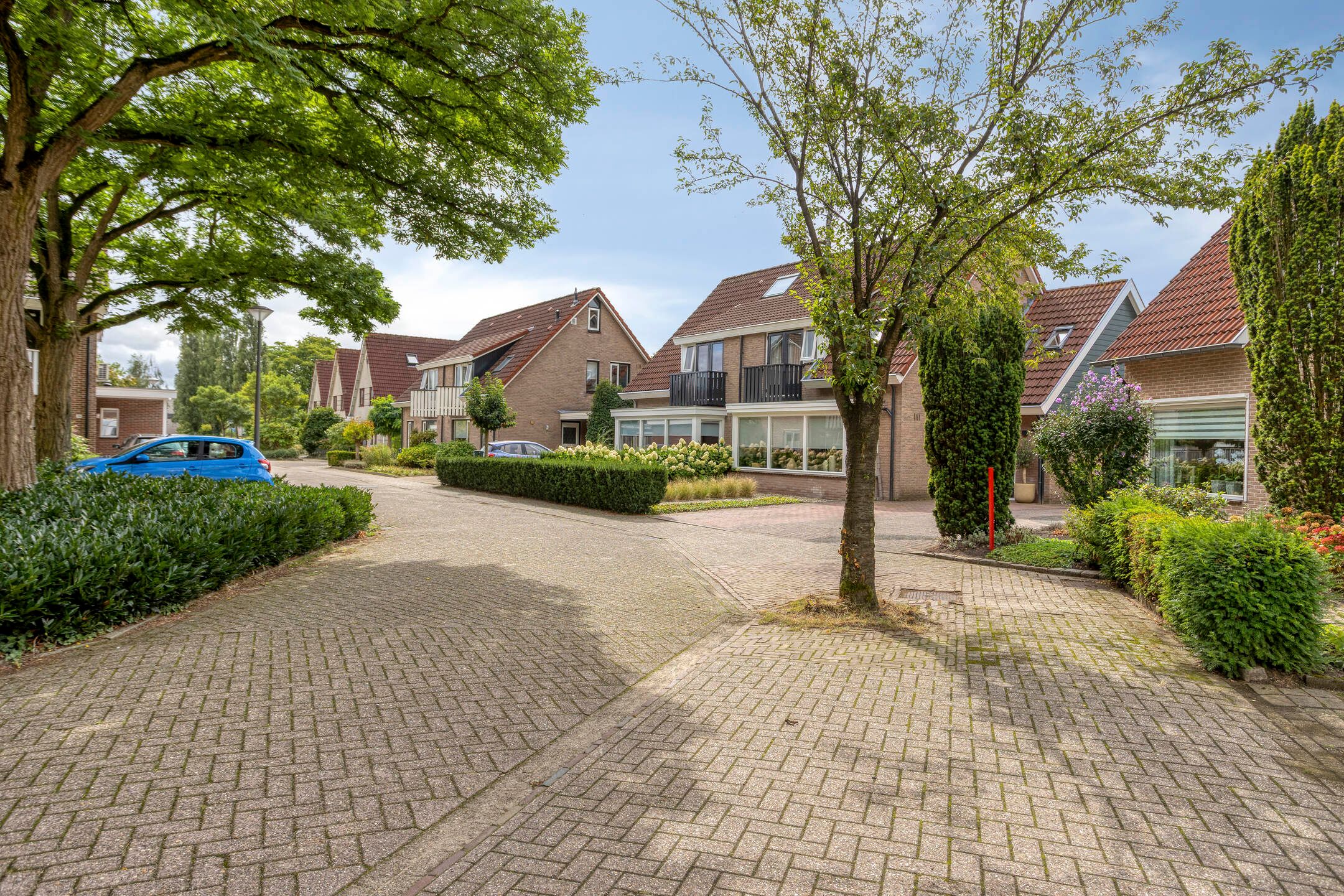 Foto 42 van Boekweit 20