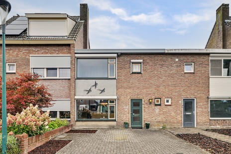 Lavendelstraat thumbnail