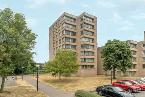 Efua Sutherlandstraat thumbnail
