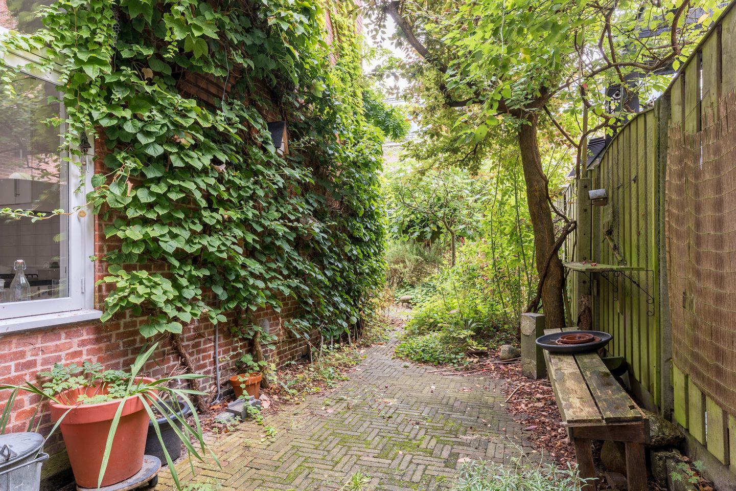 Foto 4 van Tuinbouwstraat 26