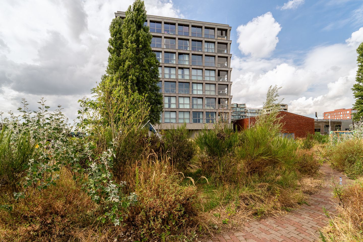 Photo of Fonteinkruidstraat 80