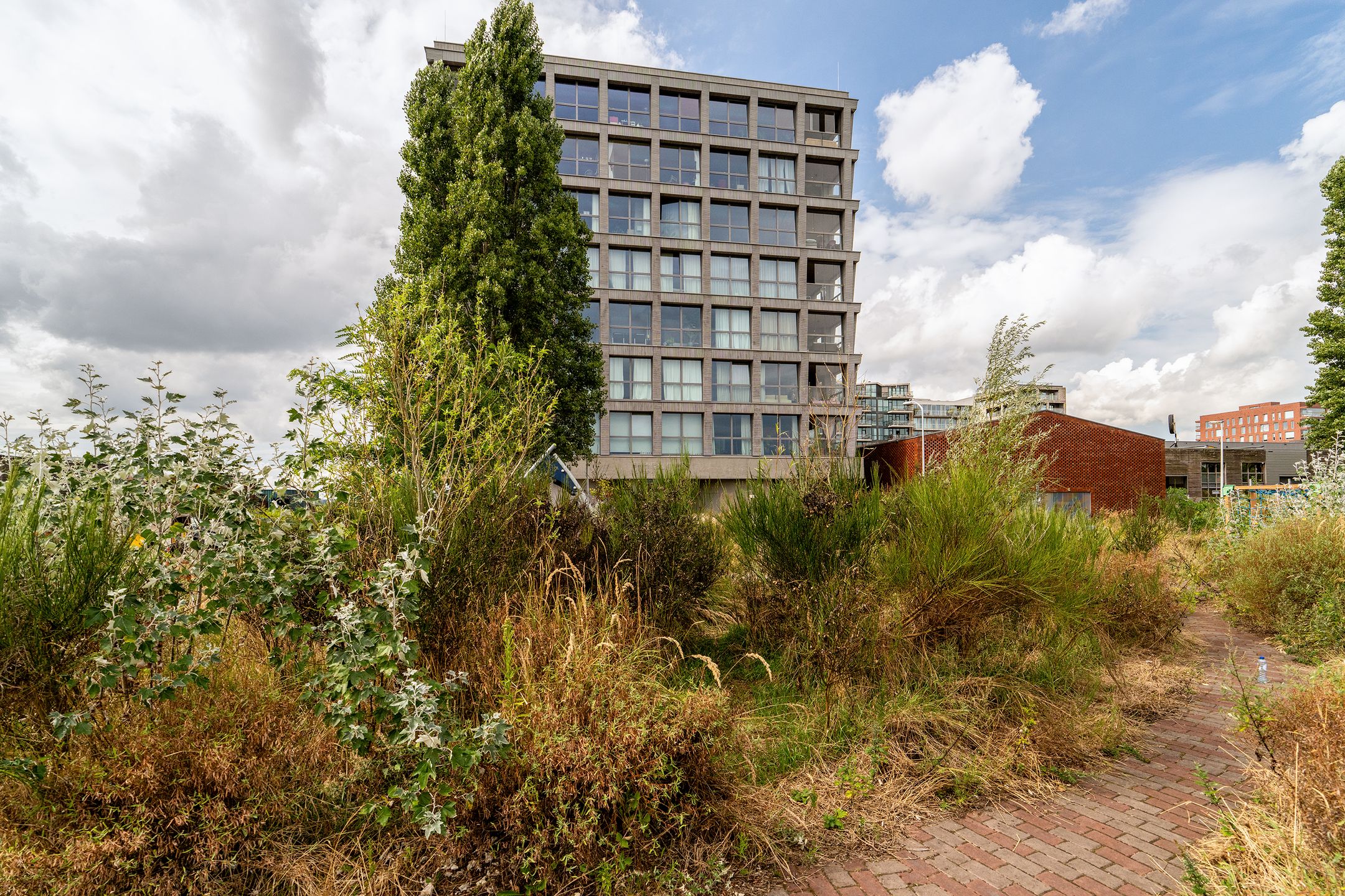 Fonteinkruidstraat 80 