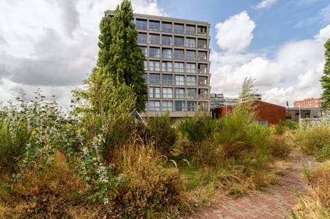 Fonteinkruidstraat thumbnail