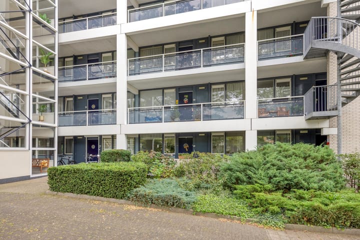 Foto 2 van Laan van de Mensenrechten 292