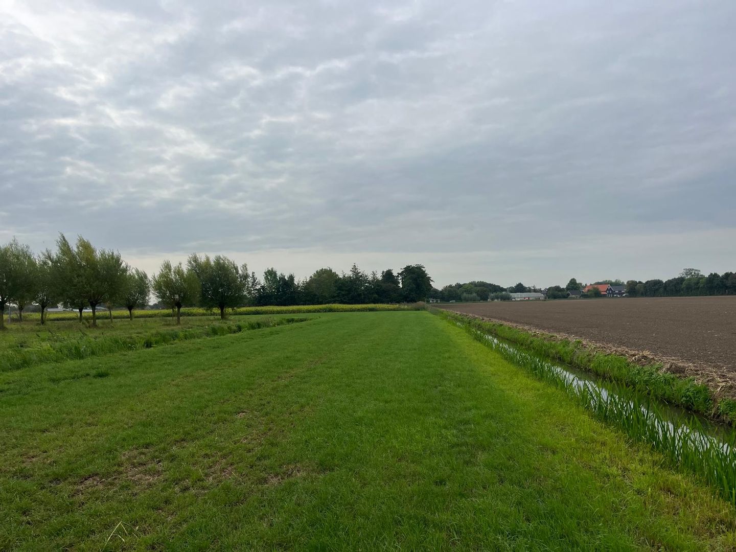 Bekijk foto 5 van Middelsteeg