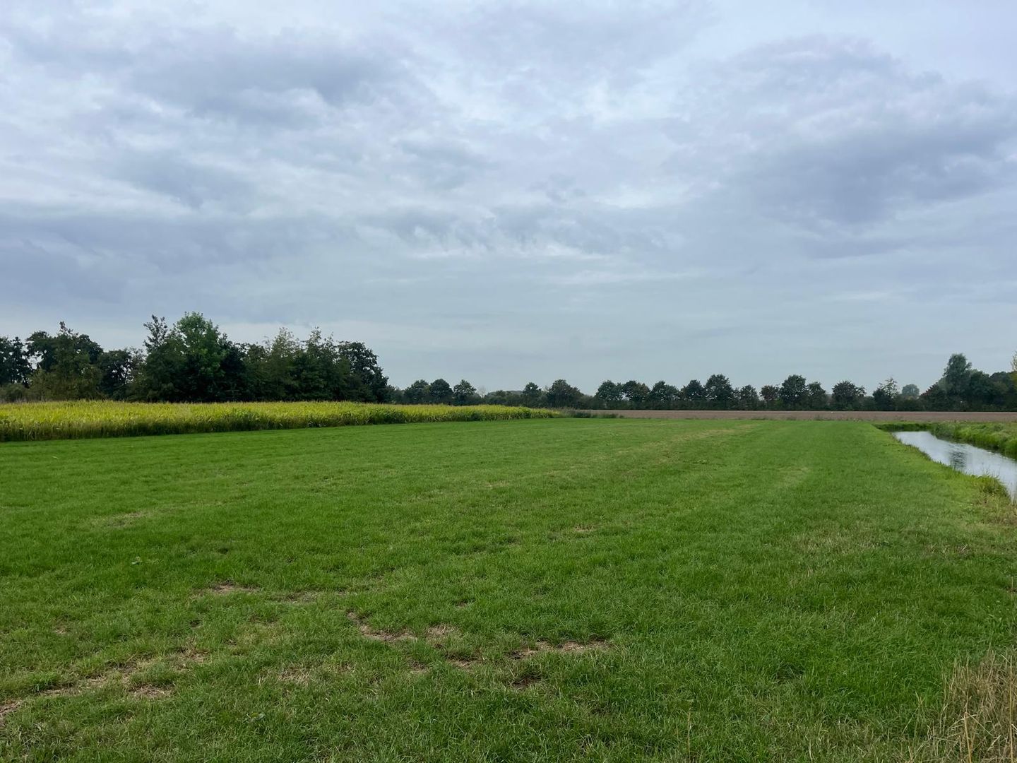 Bekijk foto 1 van Middelsteeg