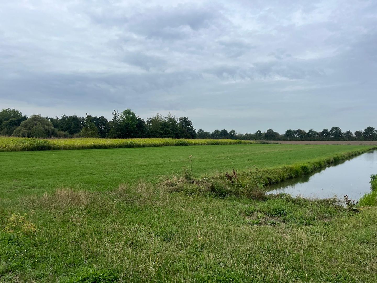 Bekijk foto 2 van Middelsteeg