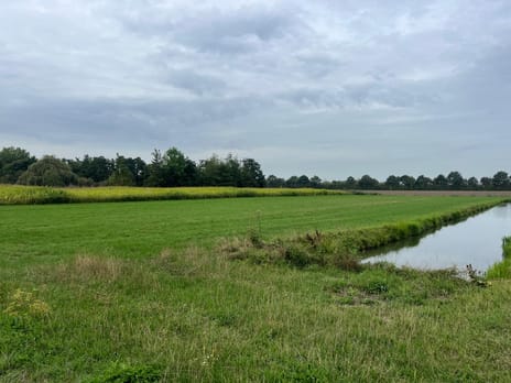 Bekijk foto's