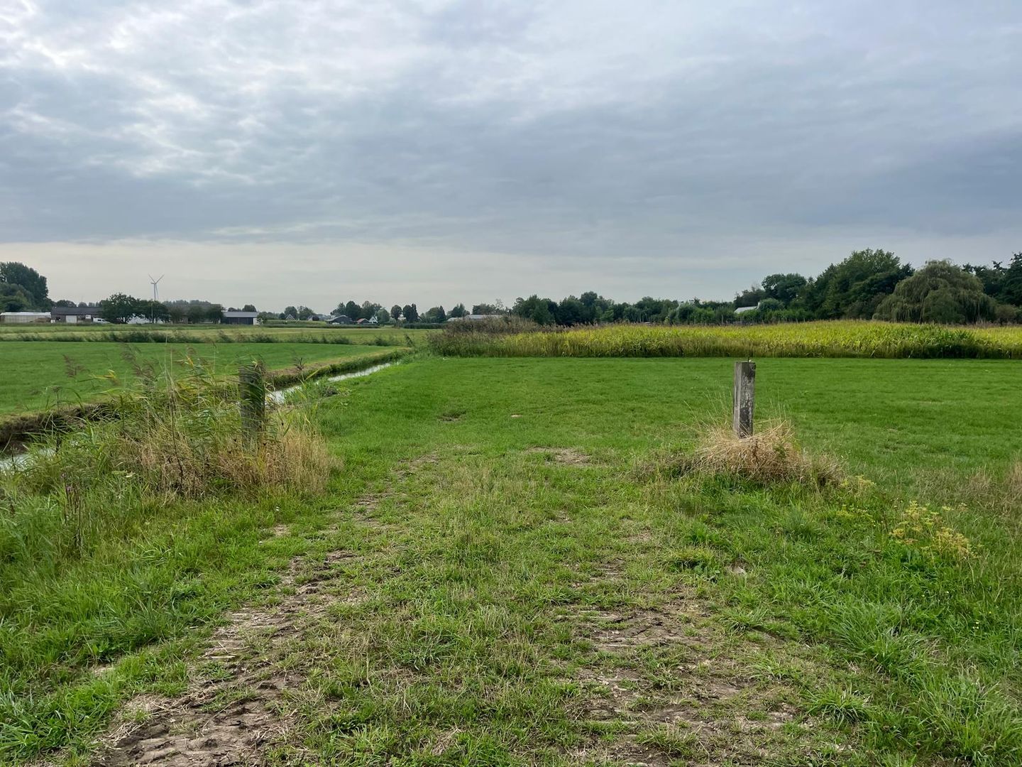 Bekijk foto 3 van Middelsteeg