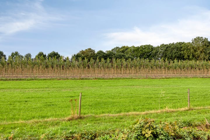 Foto 2 van Heming 9