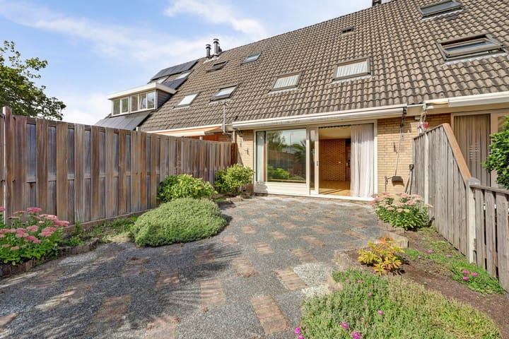 Foto 4 van Schout Palspad 14