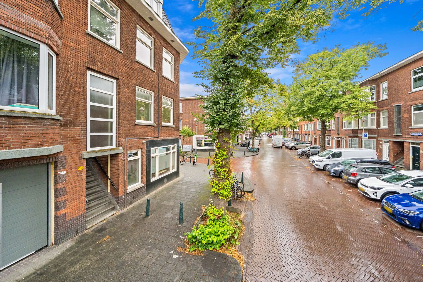 Photo 25 of Linnaeusstraat 295