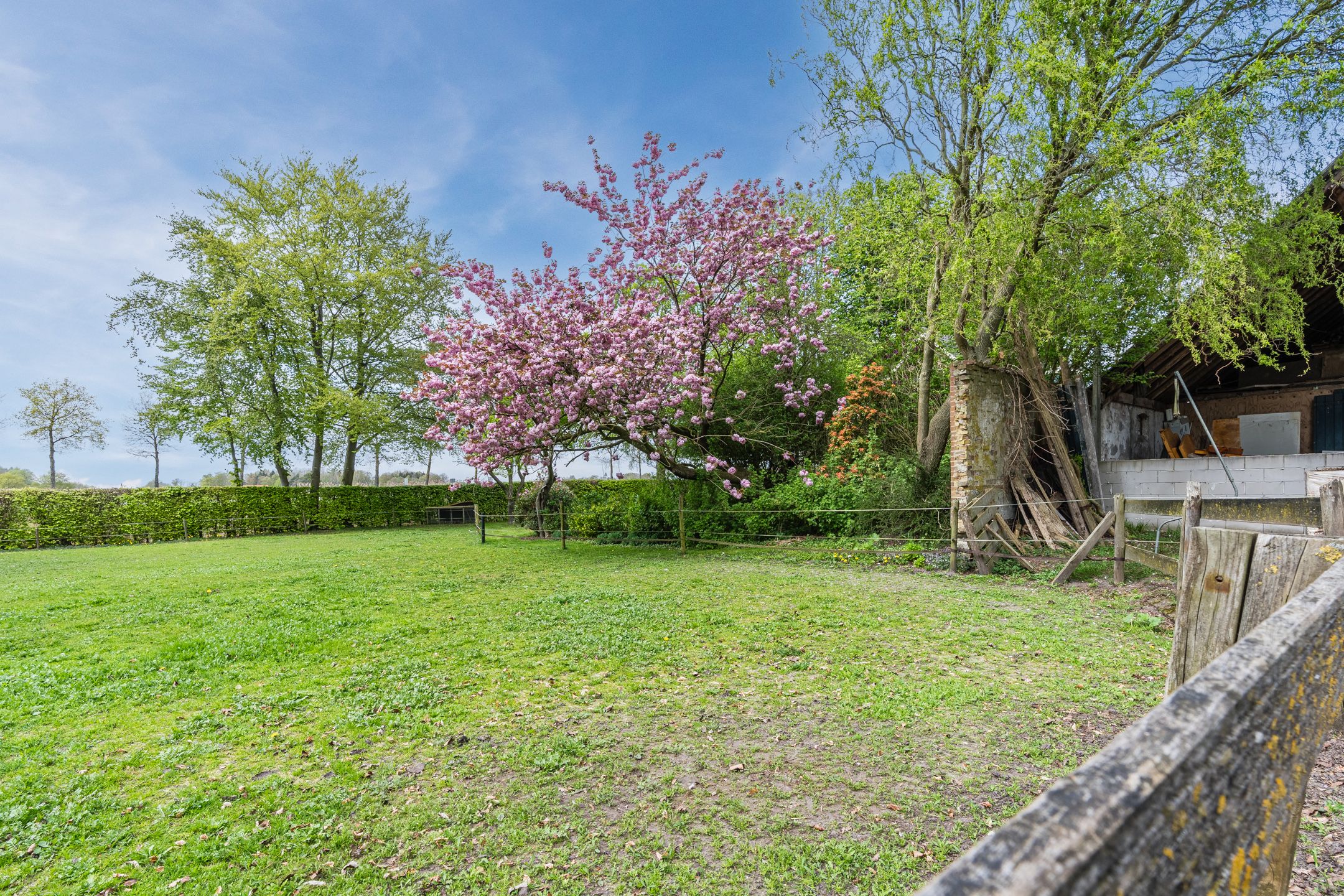 Photo 57 of Oosterweg 17