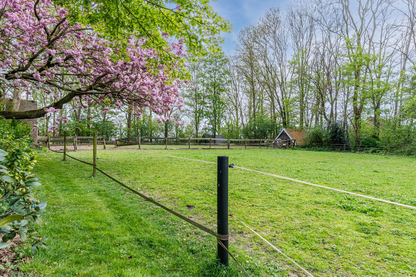 Photo 59 of Oosterweg 17