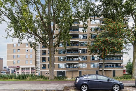 Rietdekkerweg thumbnail