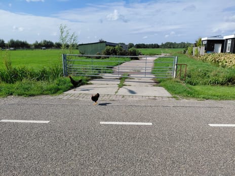 Bekijk foto's