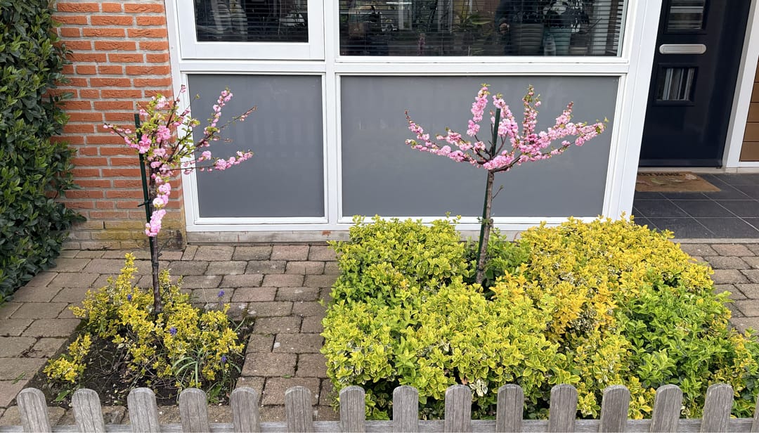 Foto 7 van Schubertpad 9