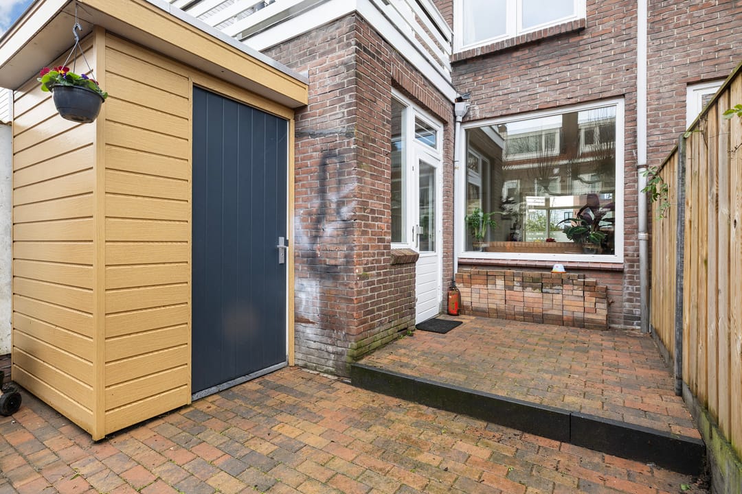 Foto 13 van Alexander Numankade 215