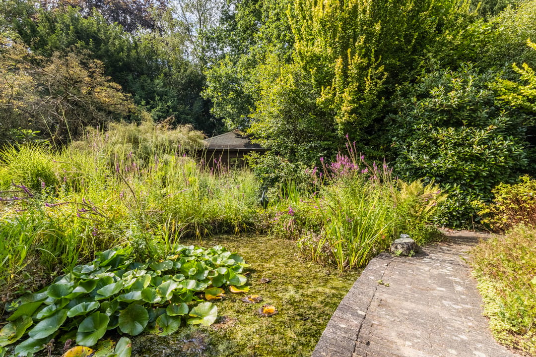 Photo 56 of Waaijenburg 4