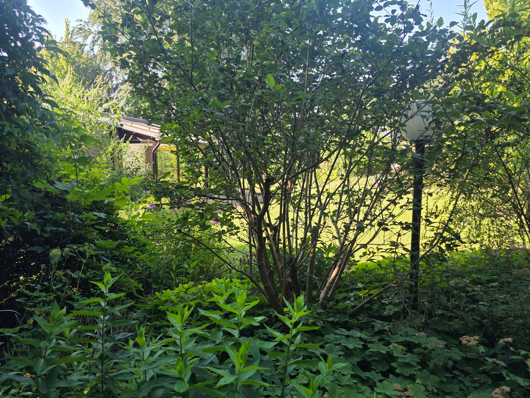 Photo 72 of Waaijenburg 4