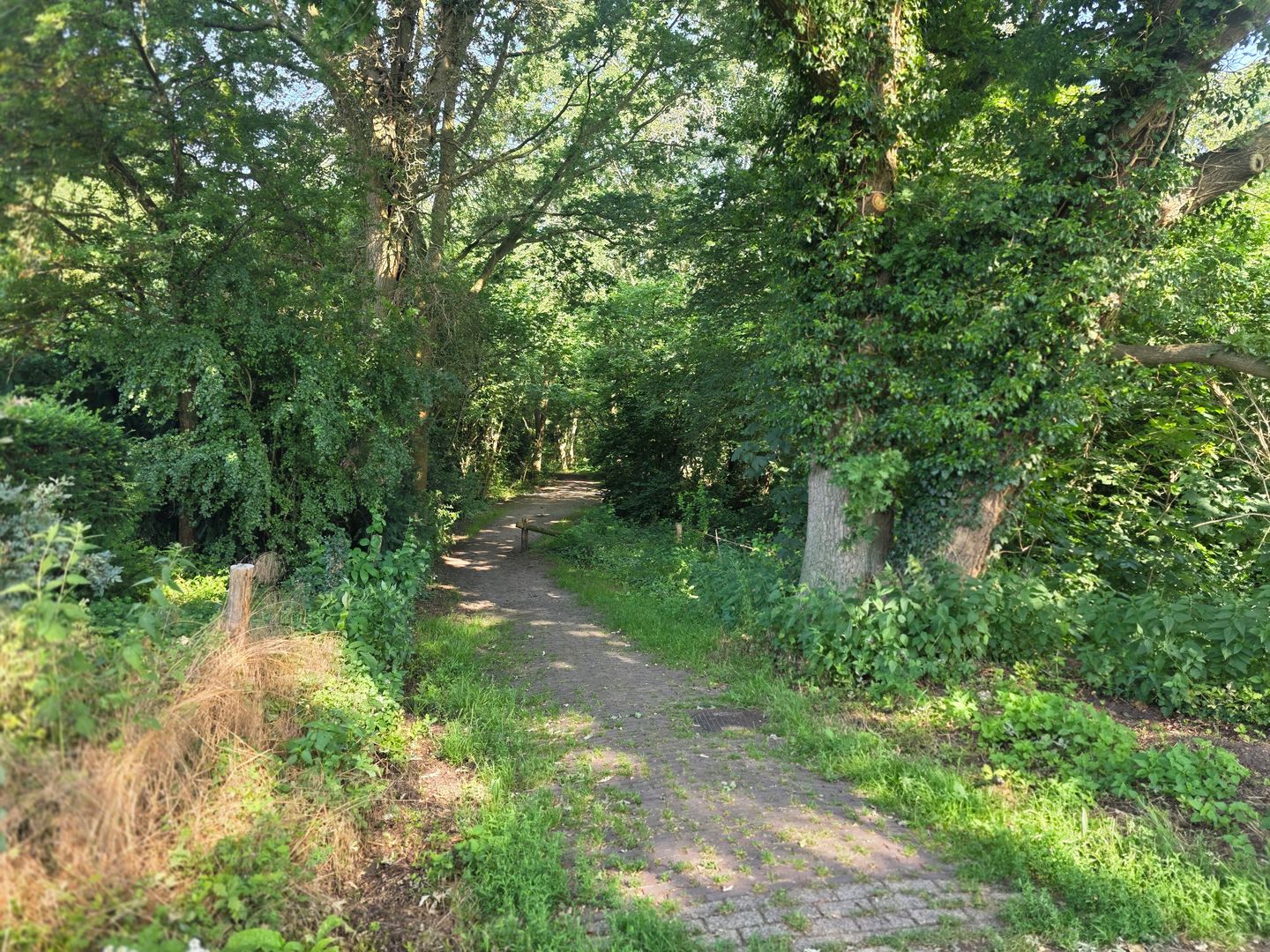 Photo 70 of Waaijenburg 4