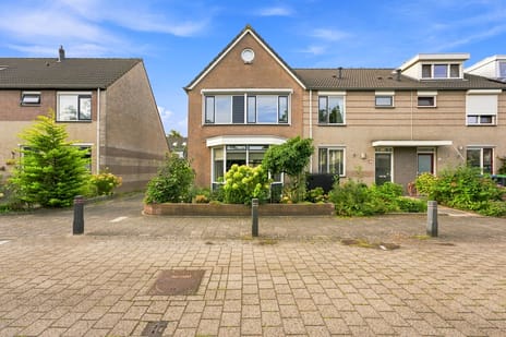 Boerhaavestraat thumbnail