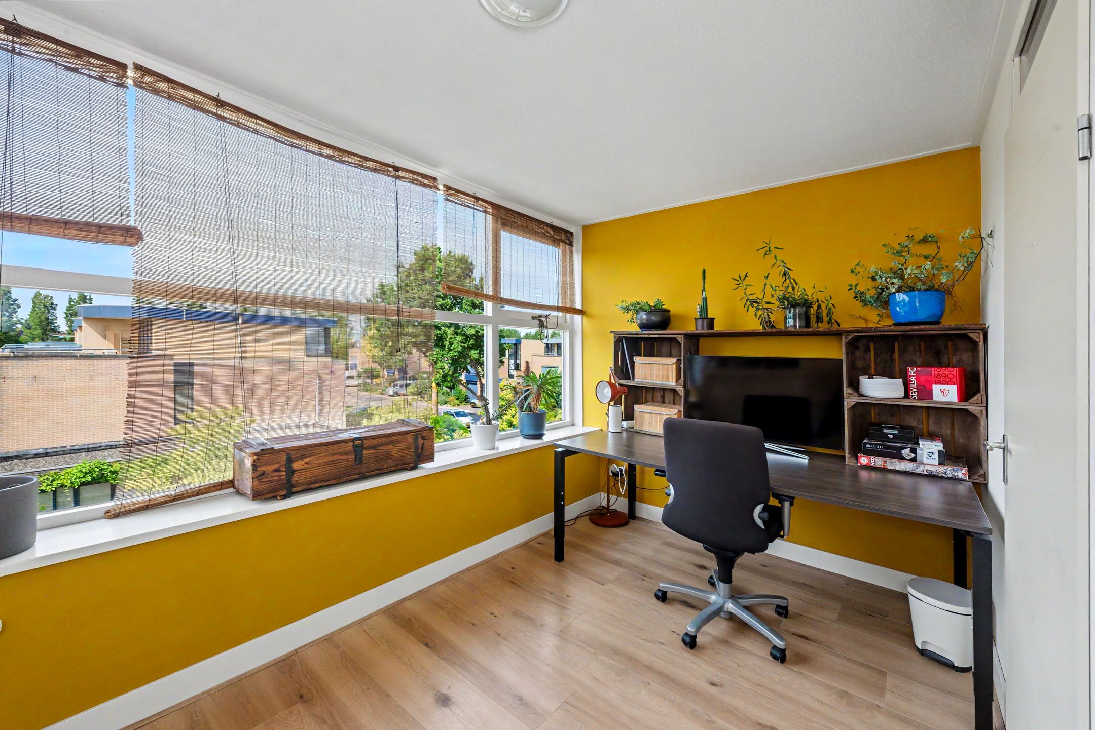 Photo 6 of Pad van Jip en Janneke 8
