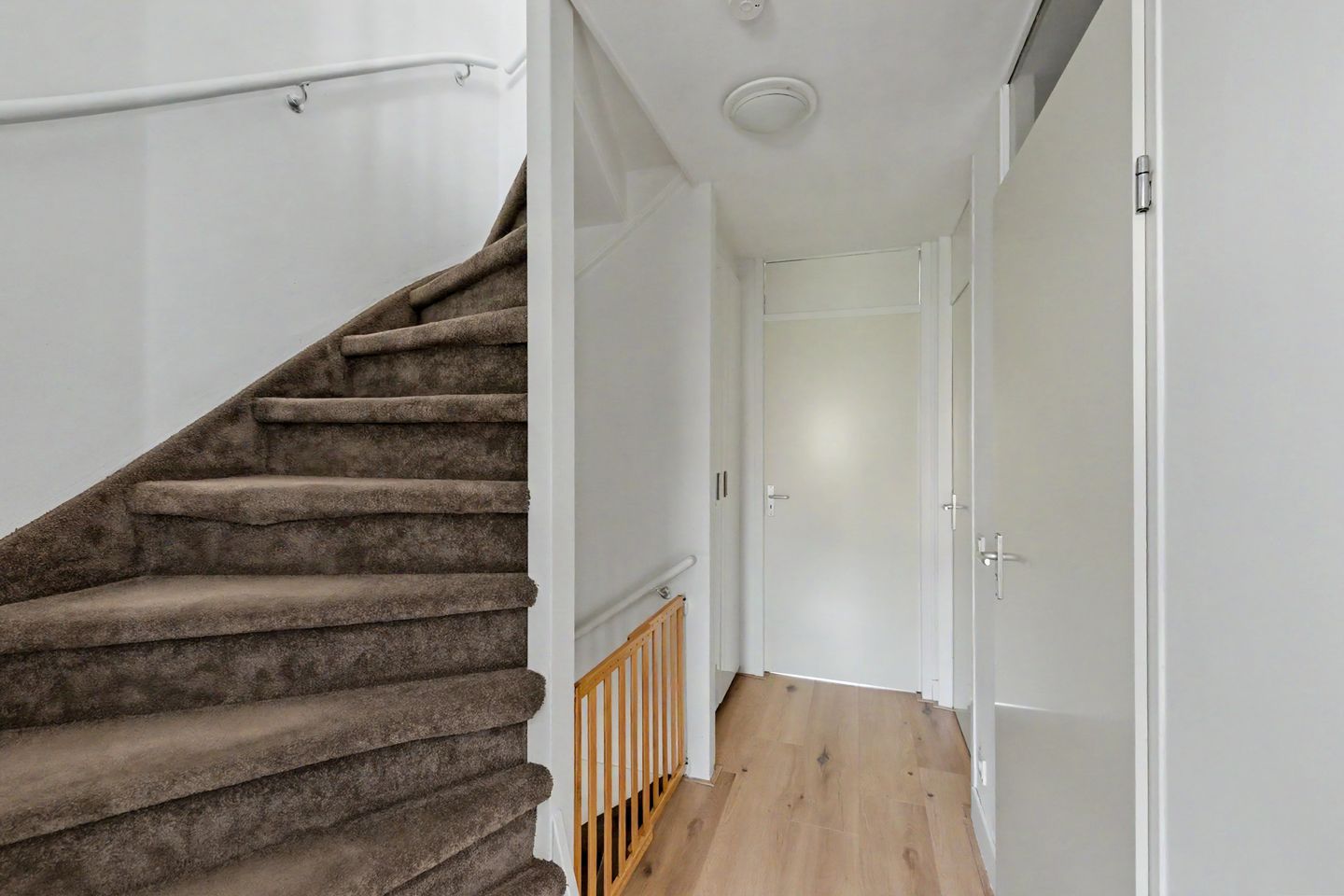 Photo 25 of Pad van Jip en Janneke 8