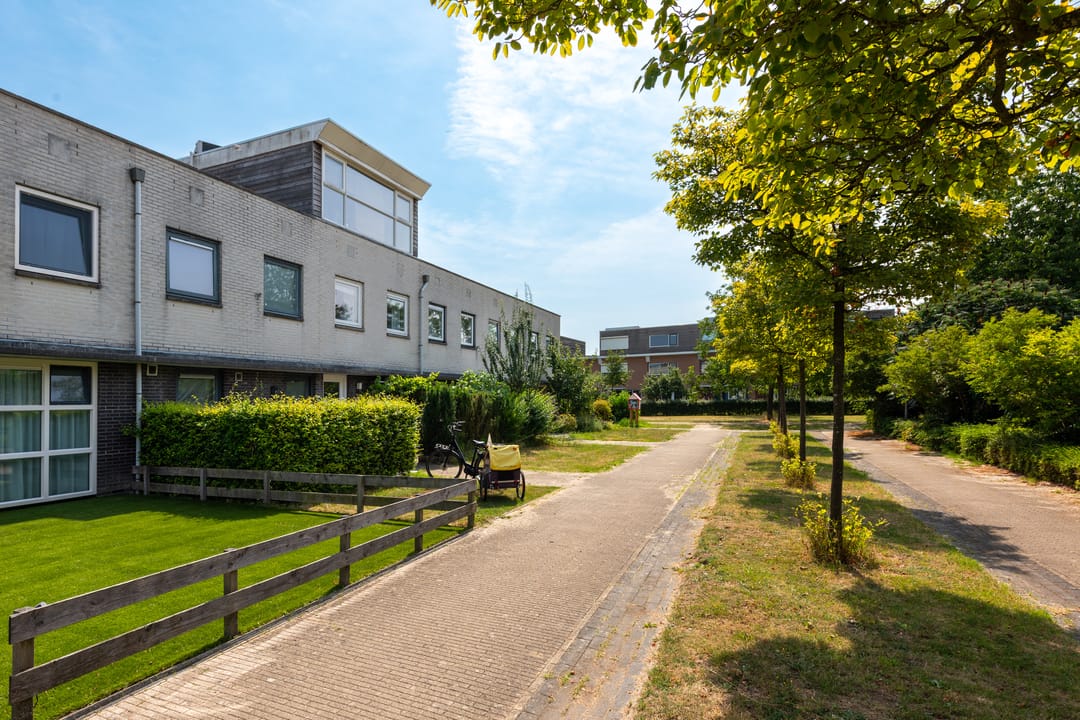Photo 7 of Pad van Jip en Janneke 8
