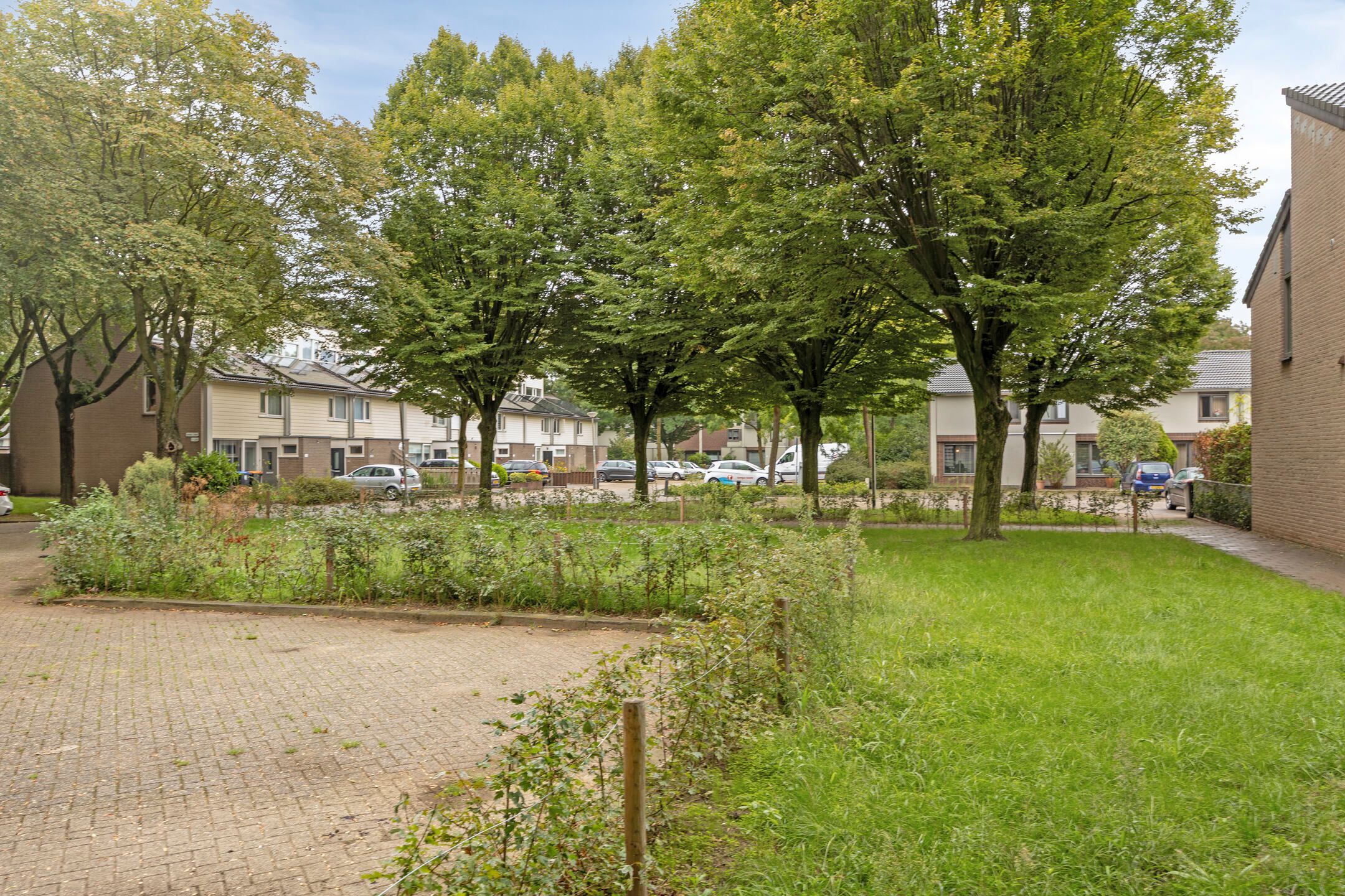 Photo 30 of Derde Haren 10