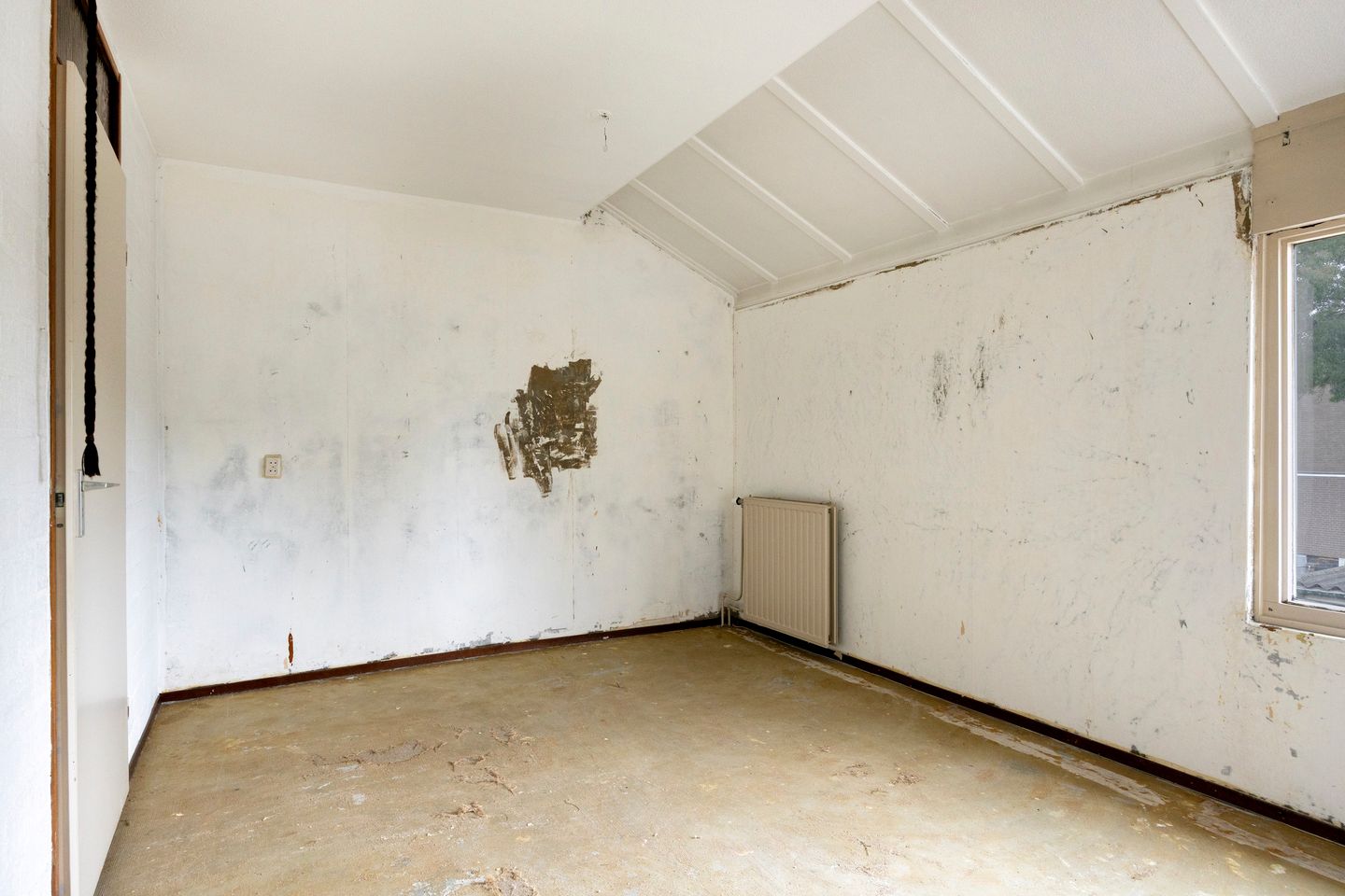 Photo 20 of Derde Haren 10