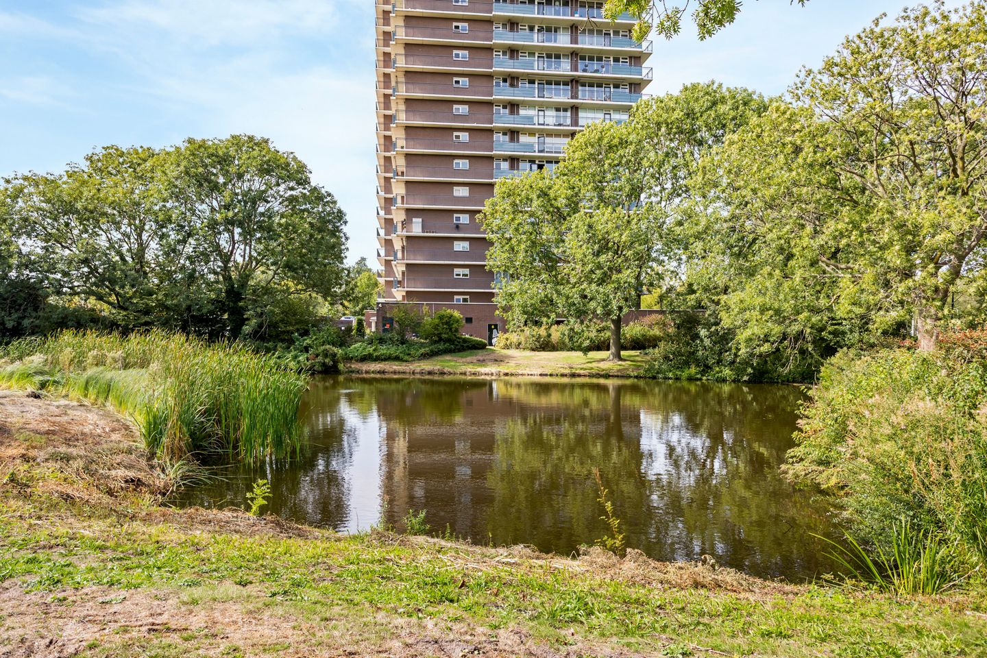 Foto 49 van Rodelaan 277