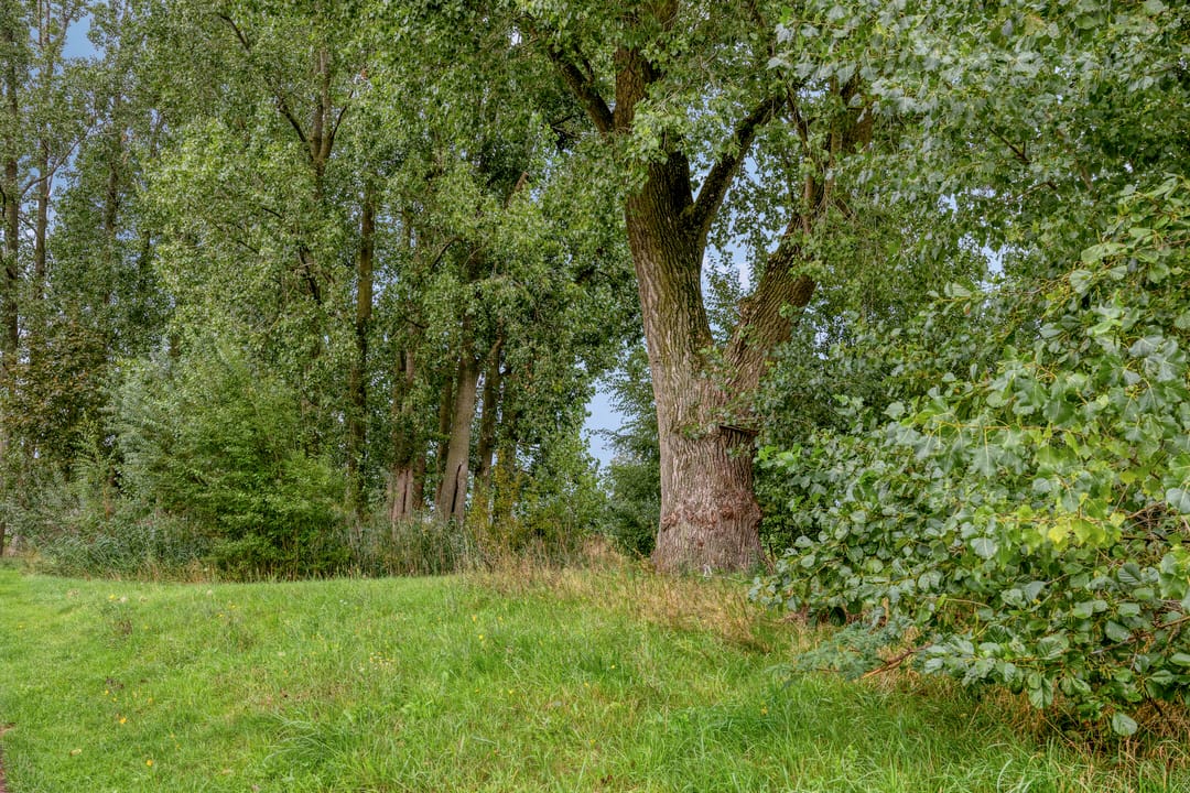 Foto 46 van Brahmalaan 1