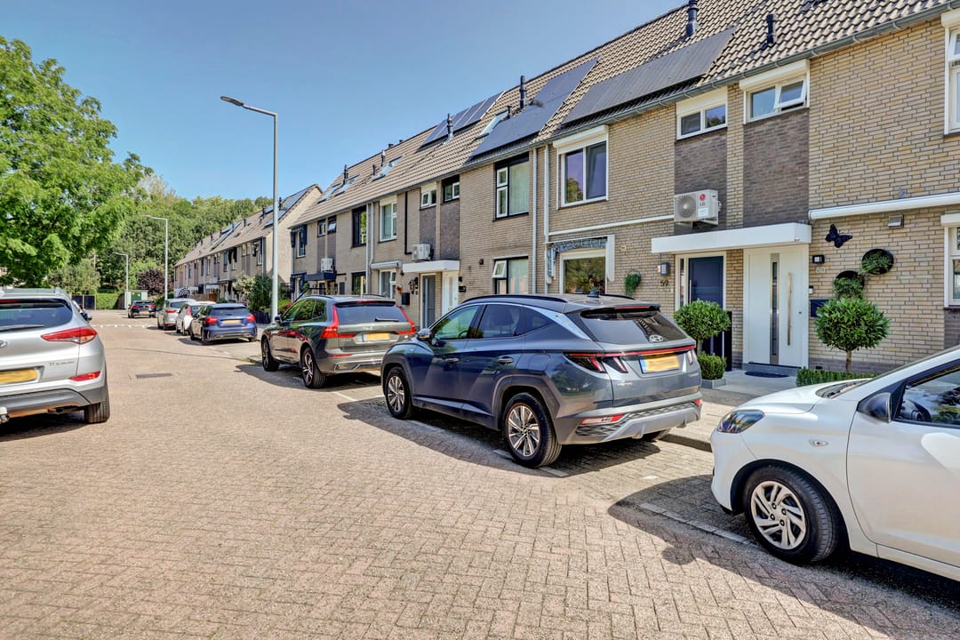 Foto 41 van Vloedlijn 59