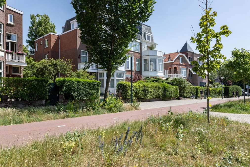 Foto 66 van Nieuwe Parklaan 147