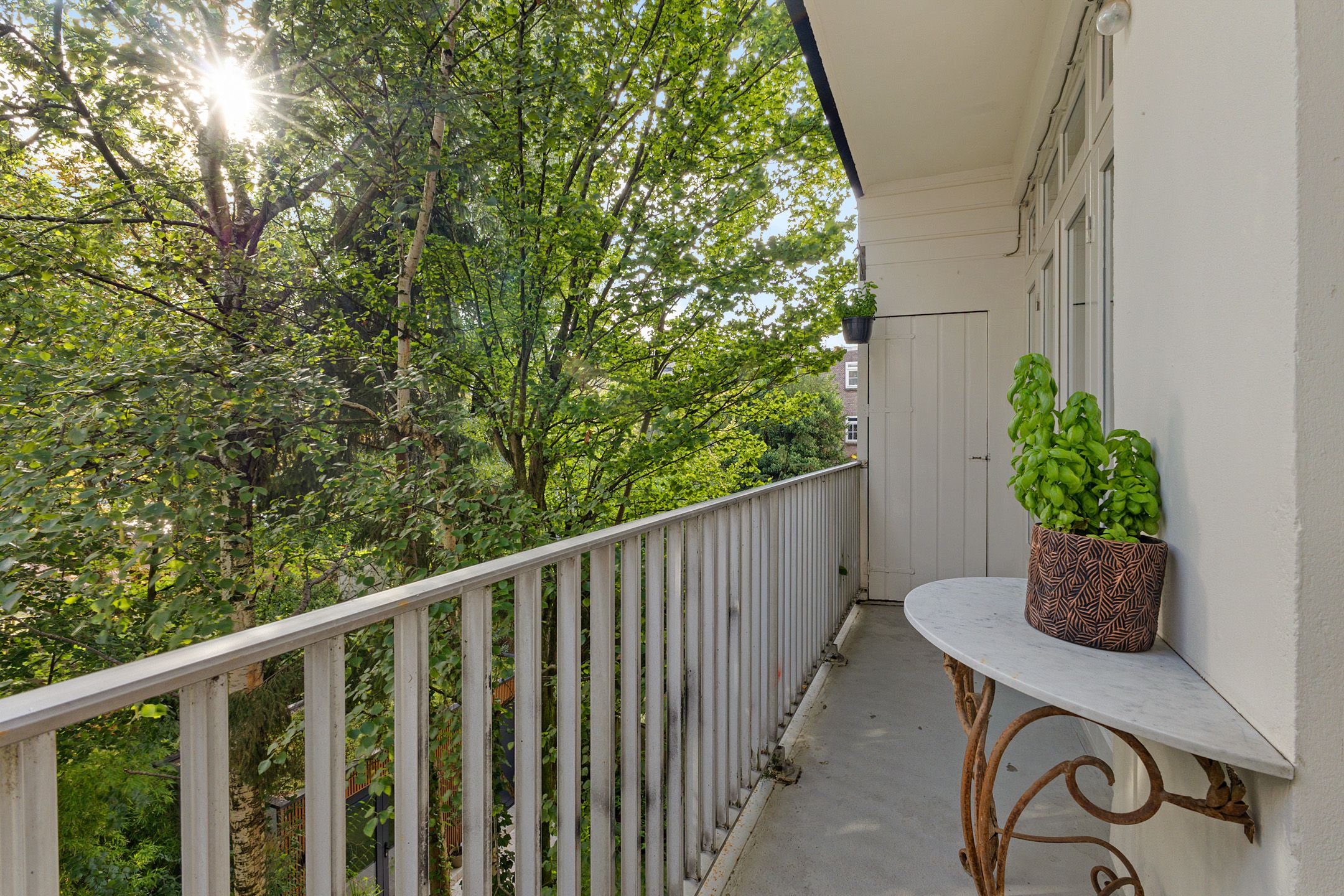 Foto 12 van Admiralengracht 166-2
