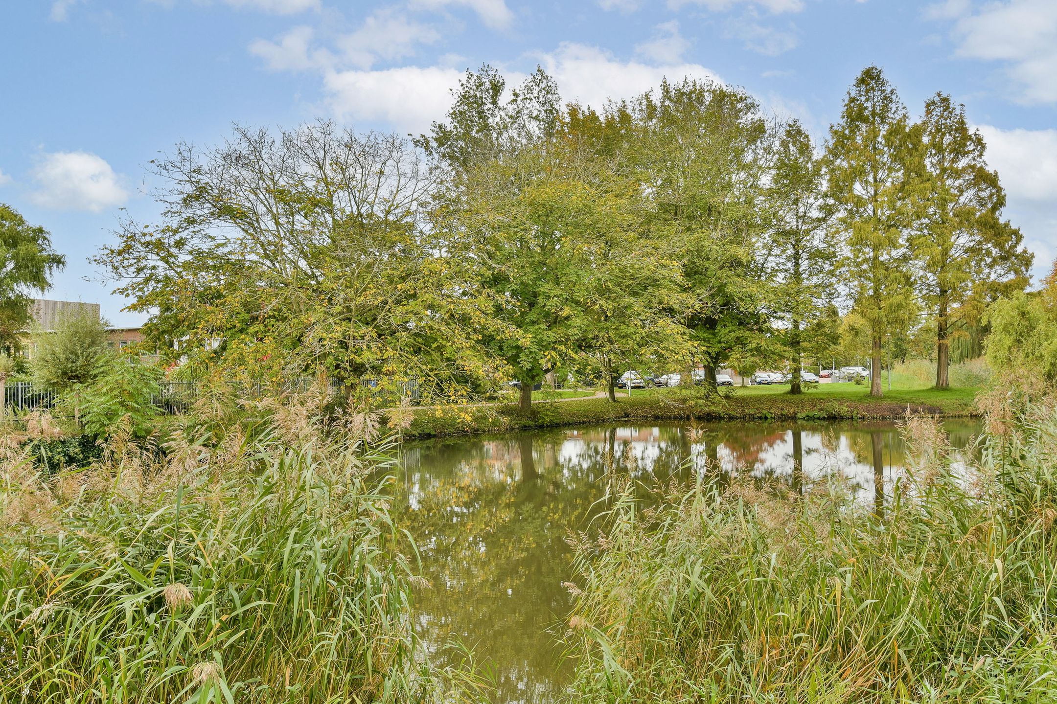 Photo 27 of Adrianus van Waertweg 11
