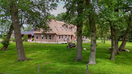 Westersebos thumbnail
