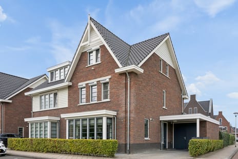 Gouden Regen thumbnail