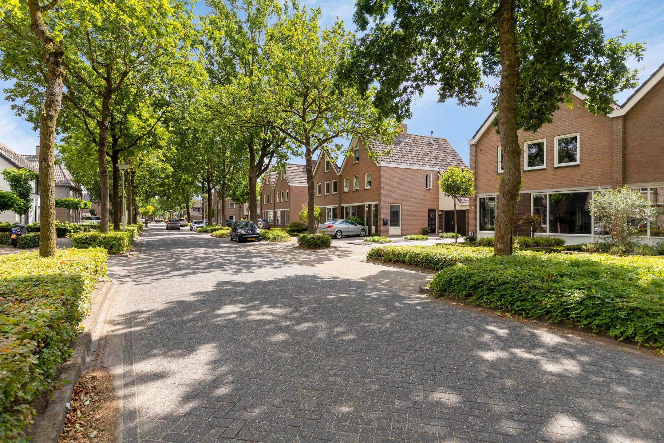 Foto 6 van de Korenaar 15