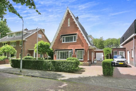 Roerdompstraat thumbnail