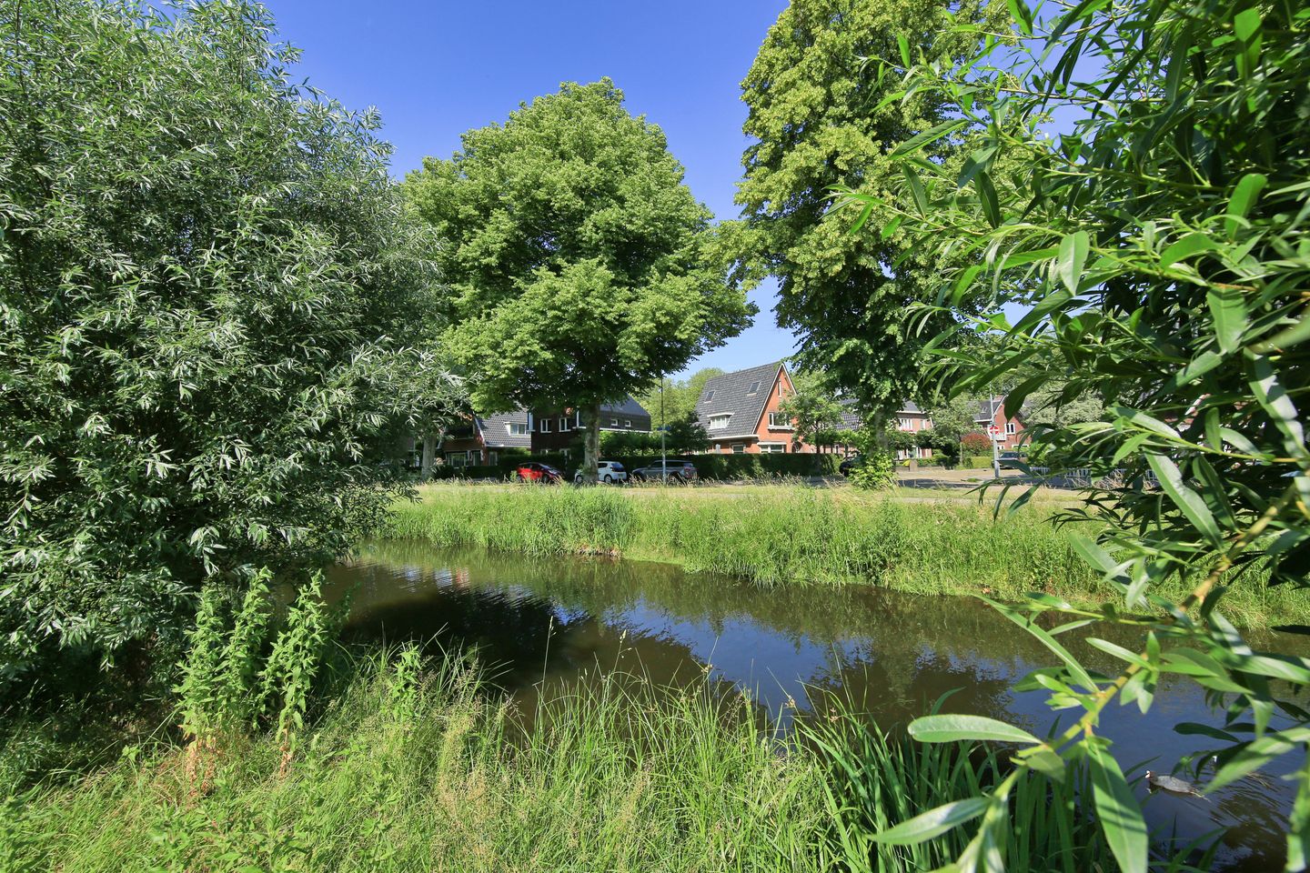 Photo 74 of Roerdompstraat 5