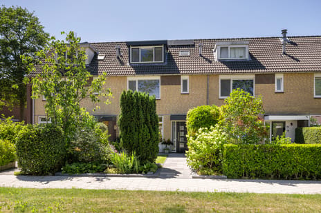 Harry Hoekstraat thumbnail