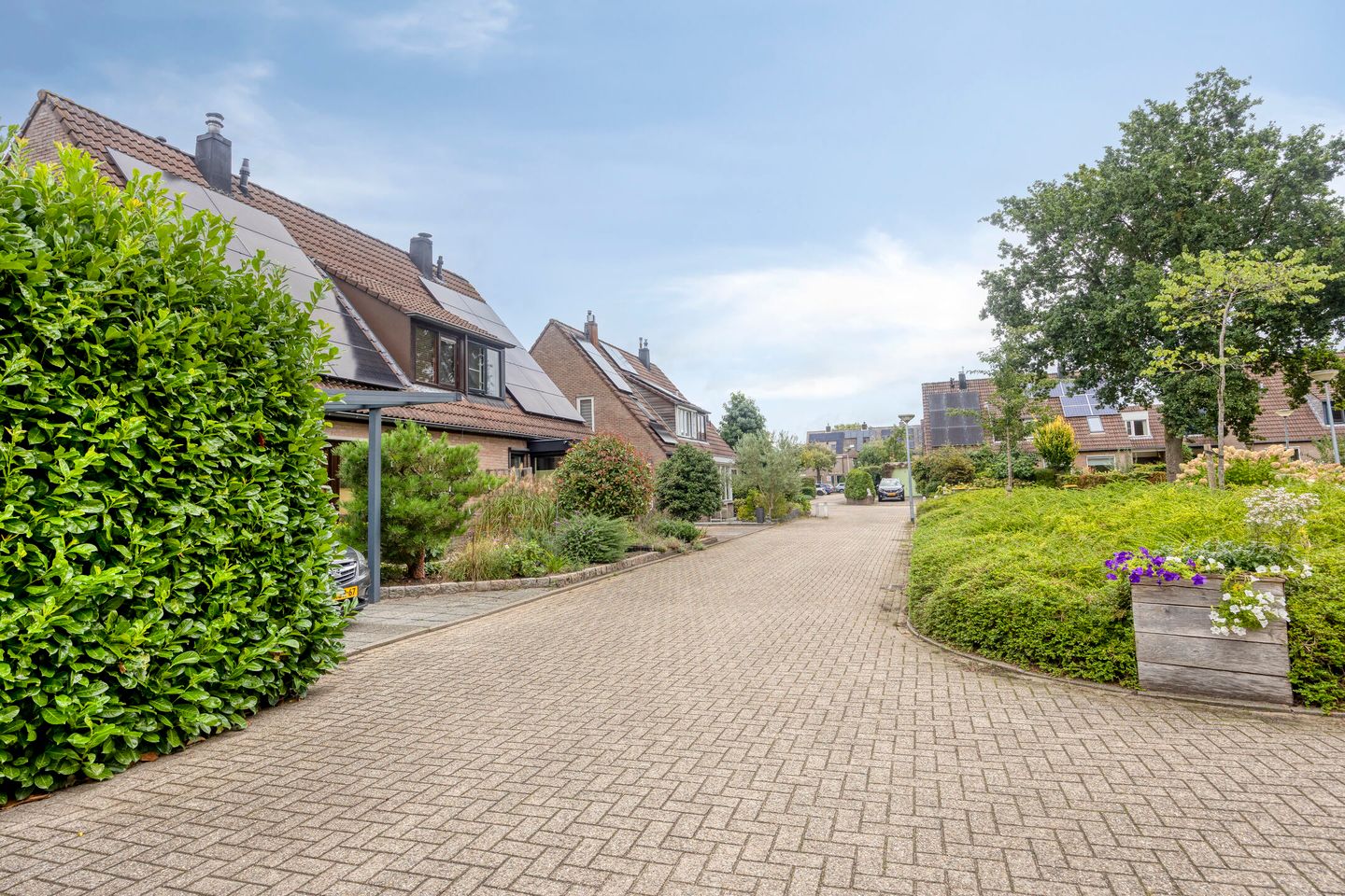 Foto 5 van Levendaal 14