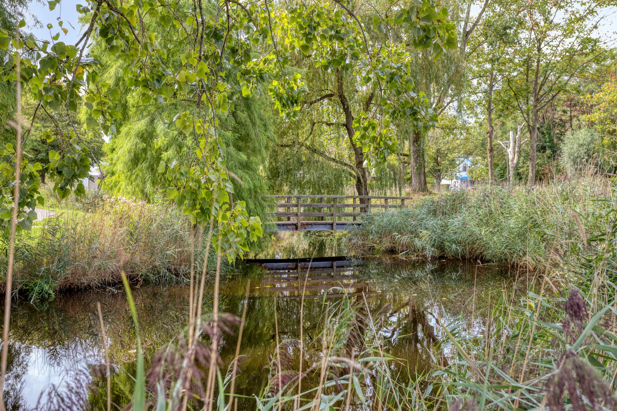 Foto 42 van Sleutelkenswei 3