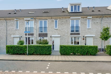 Dassenstraat thumbnail