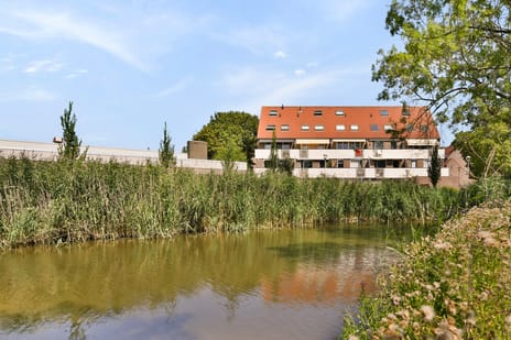 Thomsonstraat thumbnail