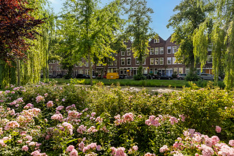 Exercitiestraat thumbnail